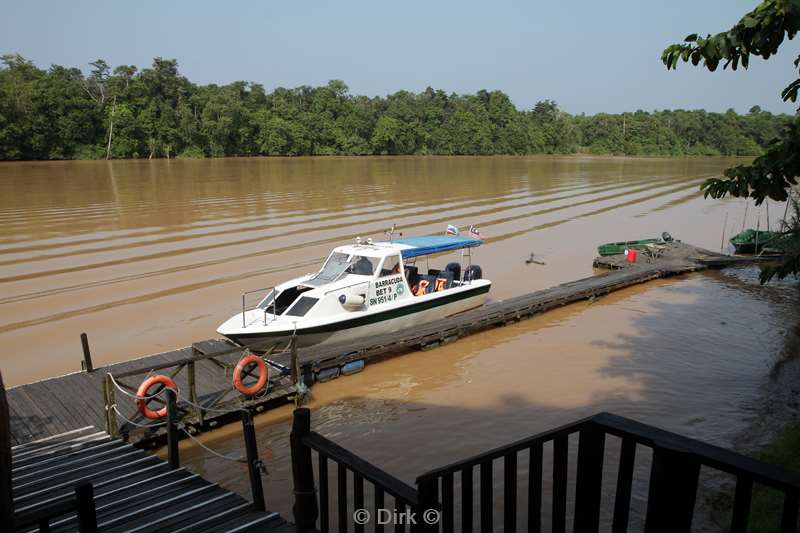 maleisie borneo sukau rainforest lodge