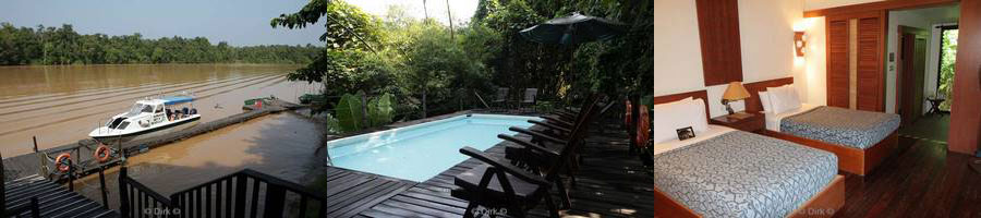 borneo at sukau for rainforest lodge