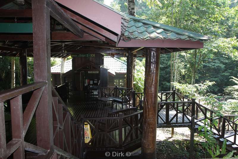 malaysia borneo hotel tabin wildlife reserve