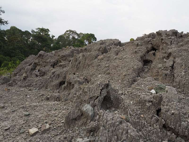 malaysia borneo tabin wildlife reserve volcanic