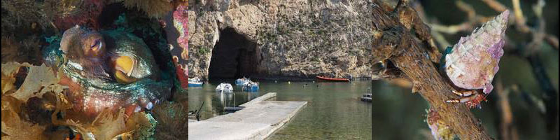 gozo duiken duikplaats blue hole