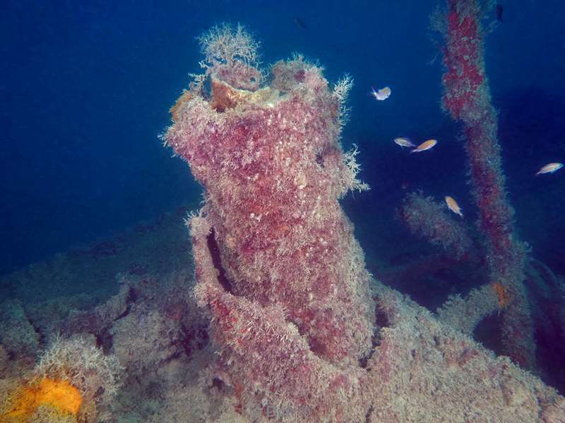 duiken malta ship wreck x127