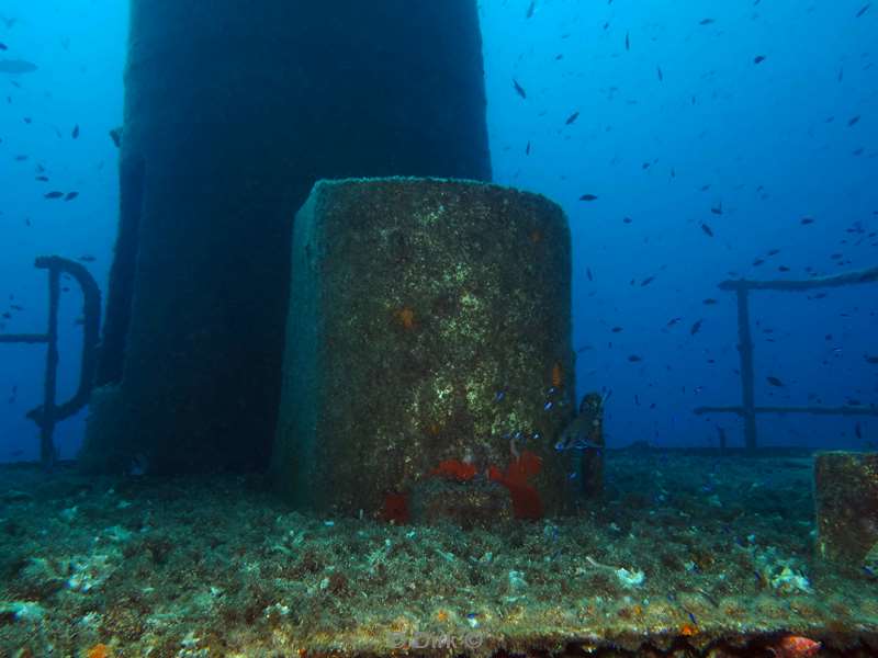 duiken malta ship wreck um el faroud