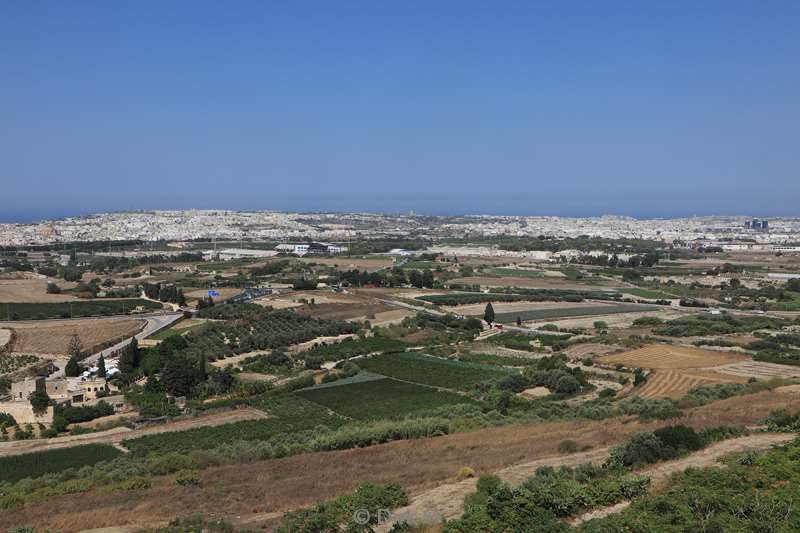 malta mdina