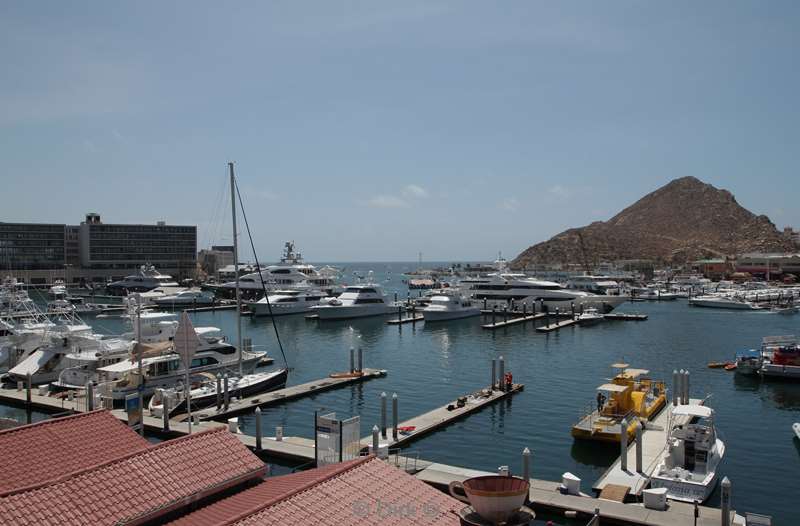 jachthaven cabo san lucas in mexico