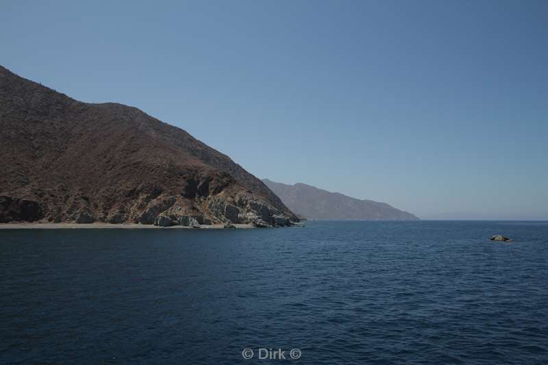 la reyna sea of cortez mexico