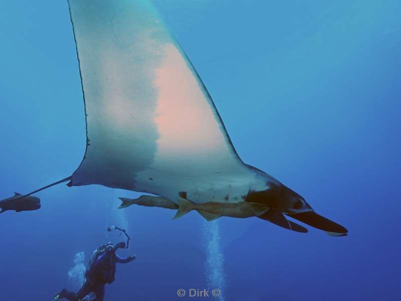 duiken san benedicto manta