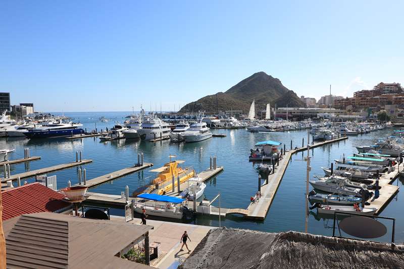 marina cabo san lucas mexico