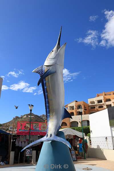 marina cabo san lucas mexico