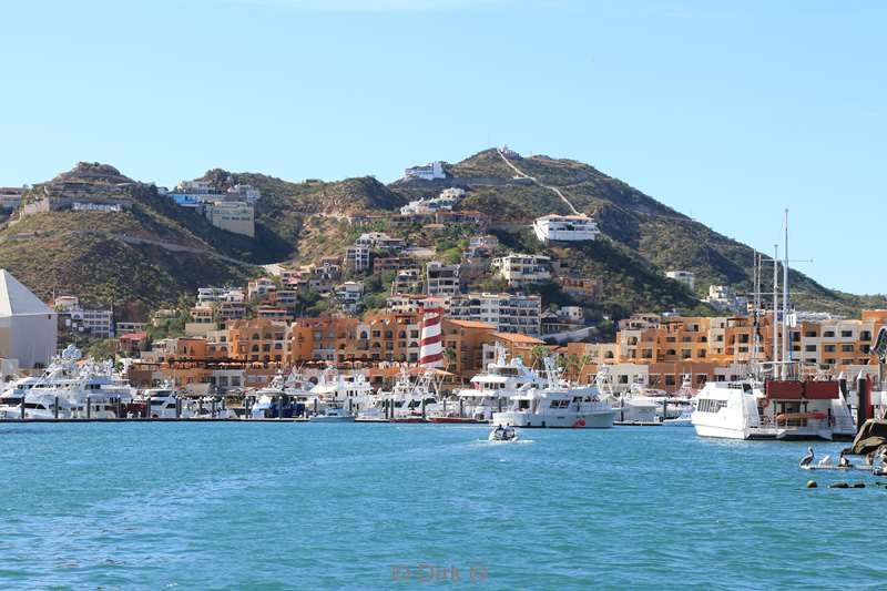 jachthaven cabo san lucas mexico