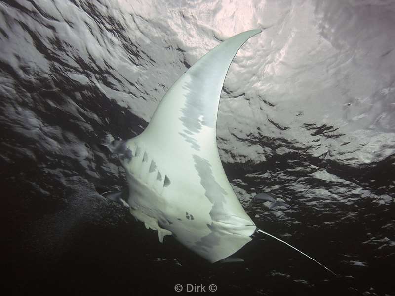 duiken san benedicto manta