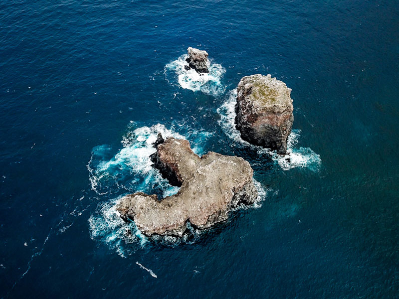 dive site san benedicto mexico