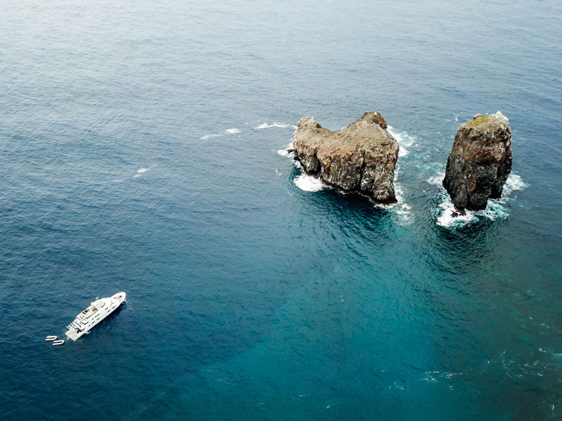 dive site san benedicto mexico