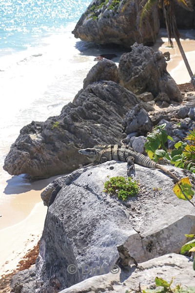 tulum maya tempels