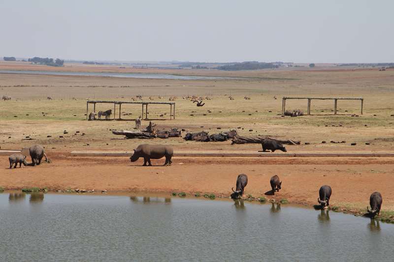 alzu tankstation park zuid-afrika