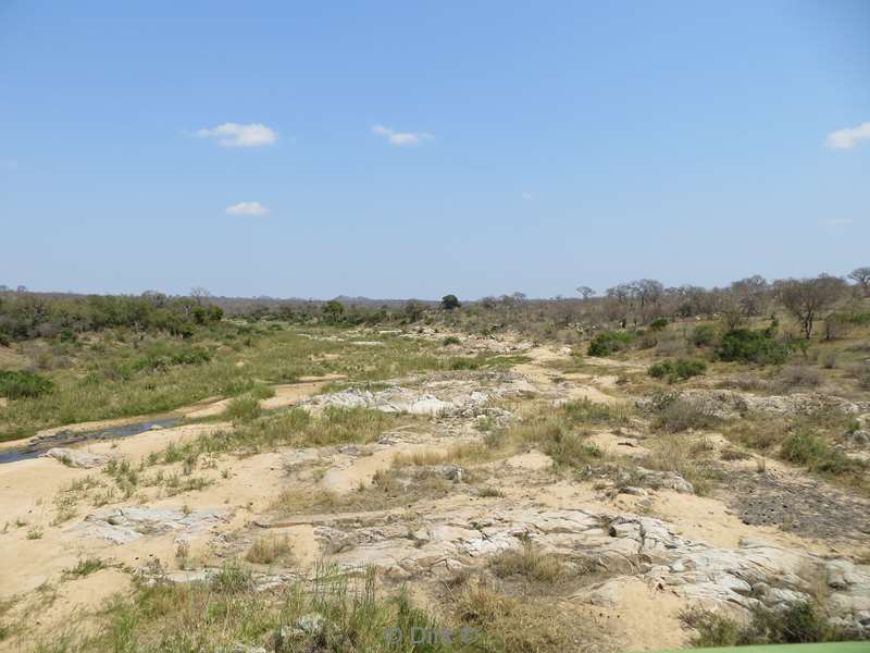 landschap kruger national park zuid-afrika