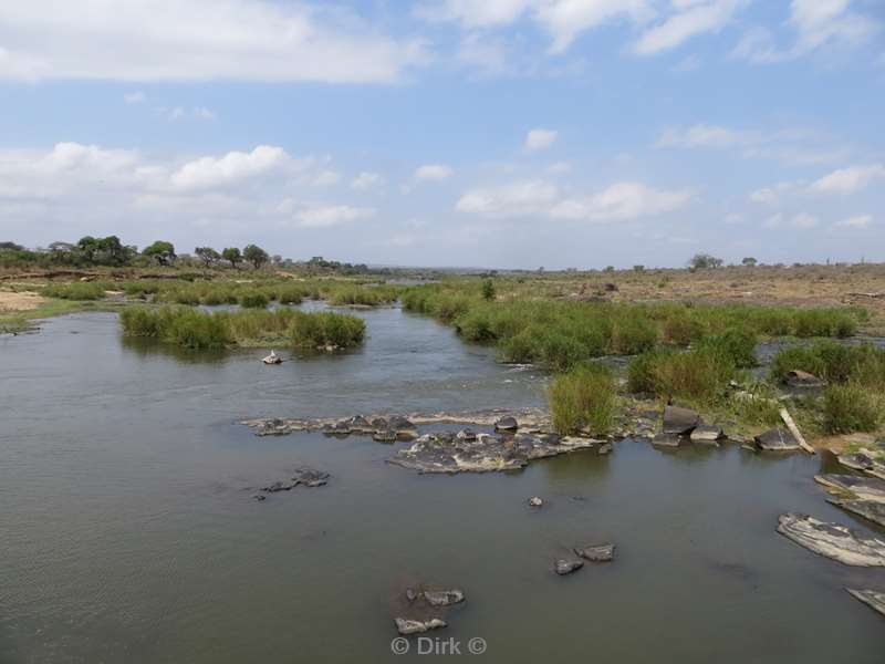 landschap kruger national park zuid-afrika