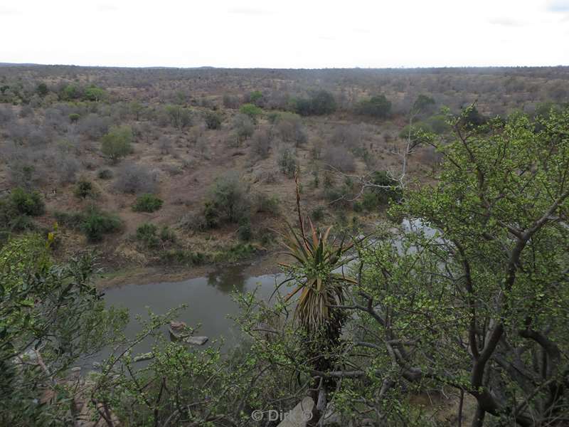 landschap kruger national park zuid-afrika