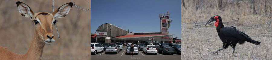 kruger national park zuid-afrika