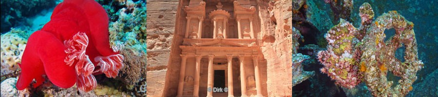 Jordanie Aqaba Petra wadi Rum