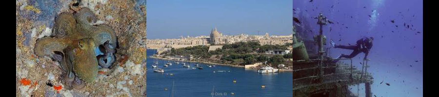malta gozo