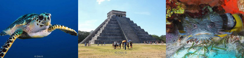 mexico cozumel chichen cenote itza
