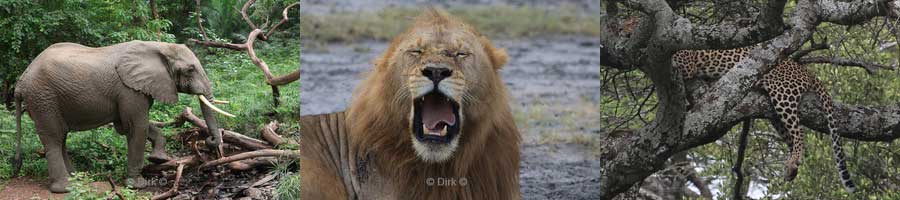 tanzania safari duiken mafia island