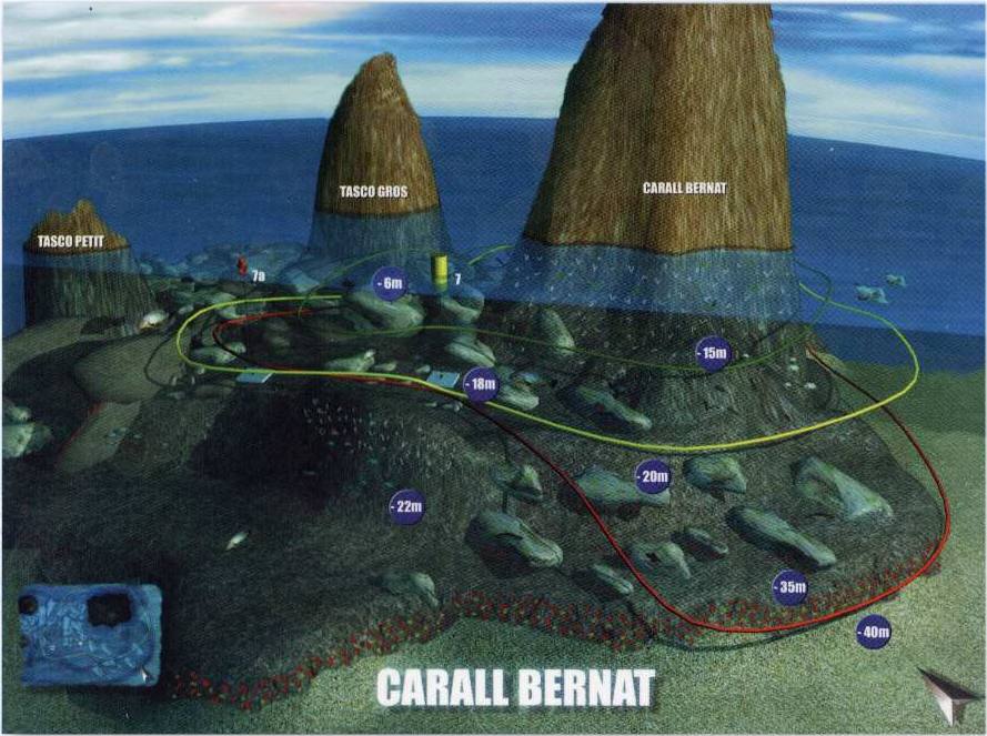 duiken Medes eilanden carall bernat