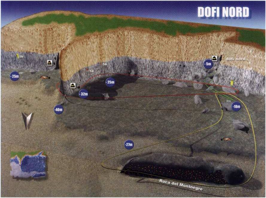 diving Medes islands dolfi nord