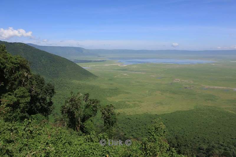 safari ndutu tanzania