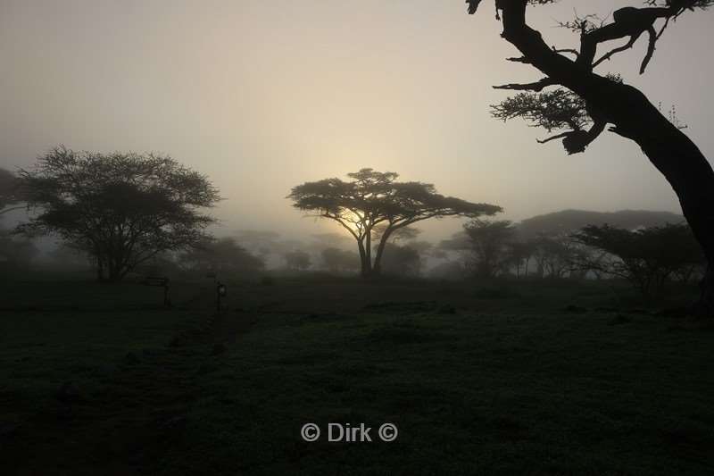 safari ndutu tanzania