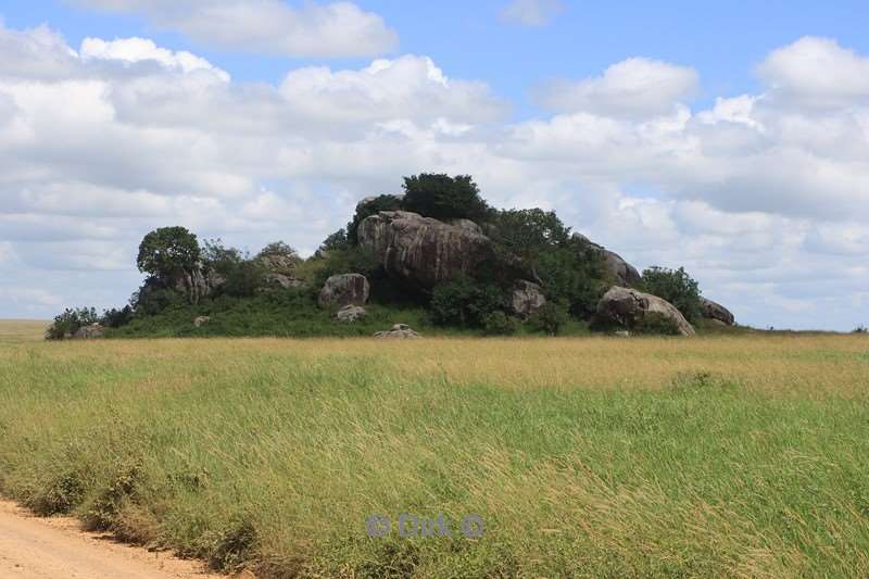 safari serengeti tanzania