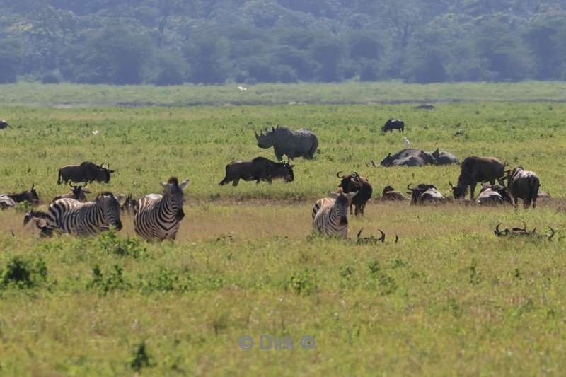 safari ngorongoro national park tanzania