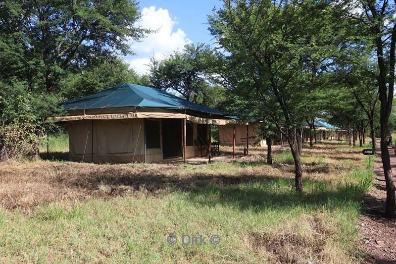 tukaone serengeti camp tanzania