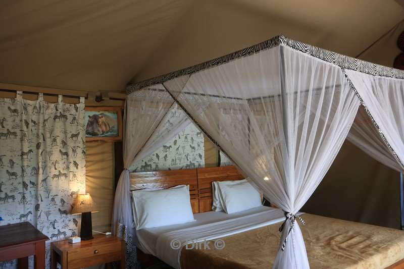 tukaone serengeti camp tanzania
