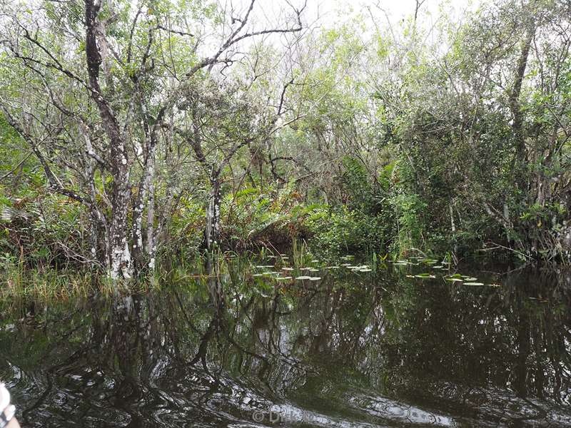 usa florida nationaal park everglades