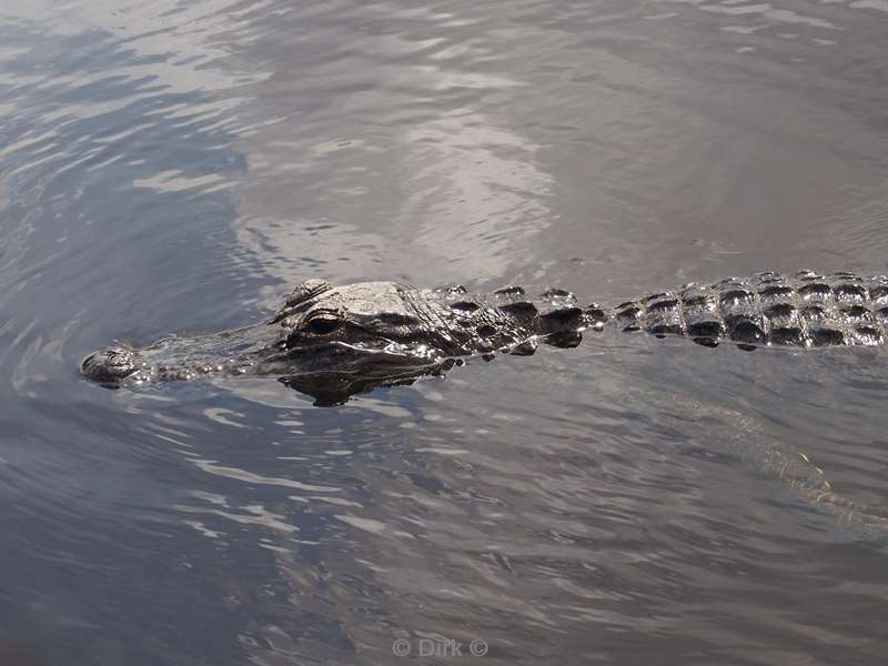 usa florida nationaal park everglades