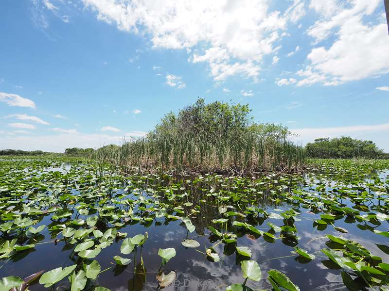 everglades holiday park