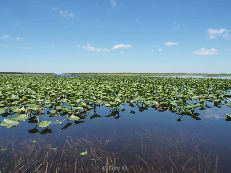 everglades holiday park