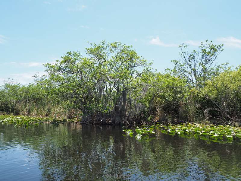 everglades holiday park