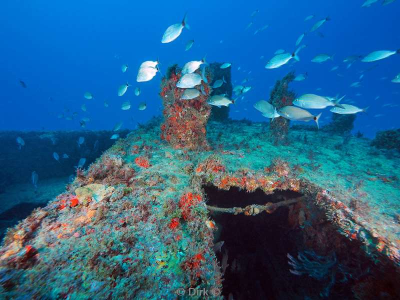 wreck florida