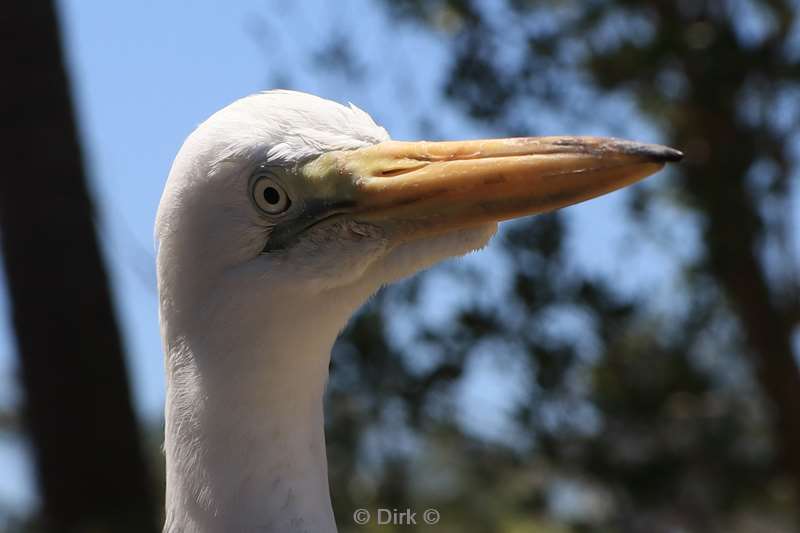 miami seaquarium