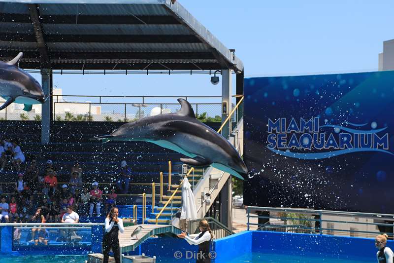 miami seaquarium