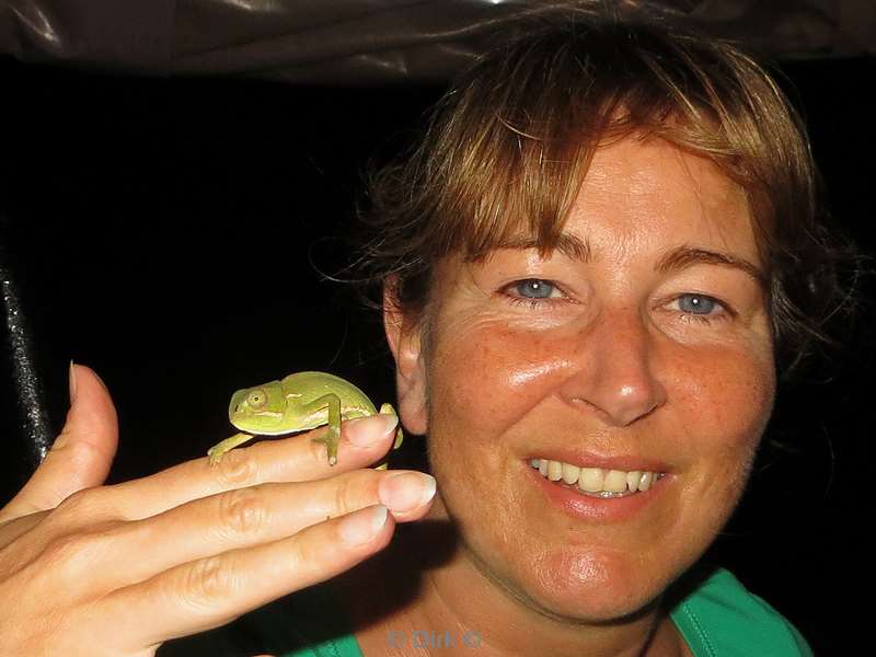 zuid-afrika iSimangaliso kamelion