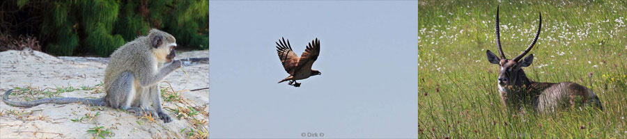 iSimangaliso zuid-afrika wildpark