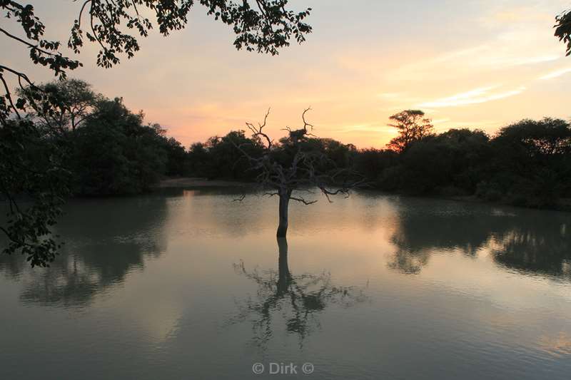 south africa kapama park sunset