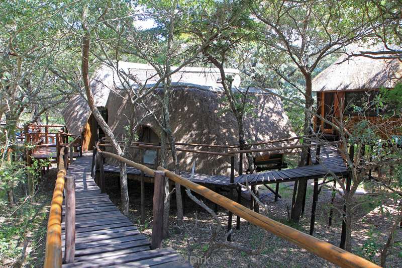 zuid-afrika pezulu treehouse lodge guernsey conservancy