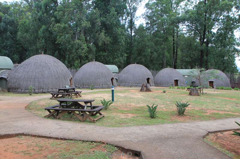 swasiland mlilwane wildpark beehives