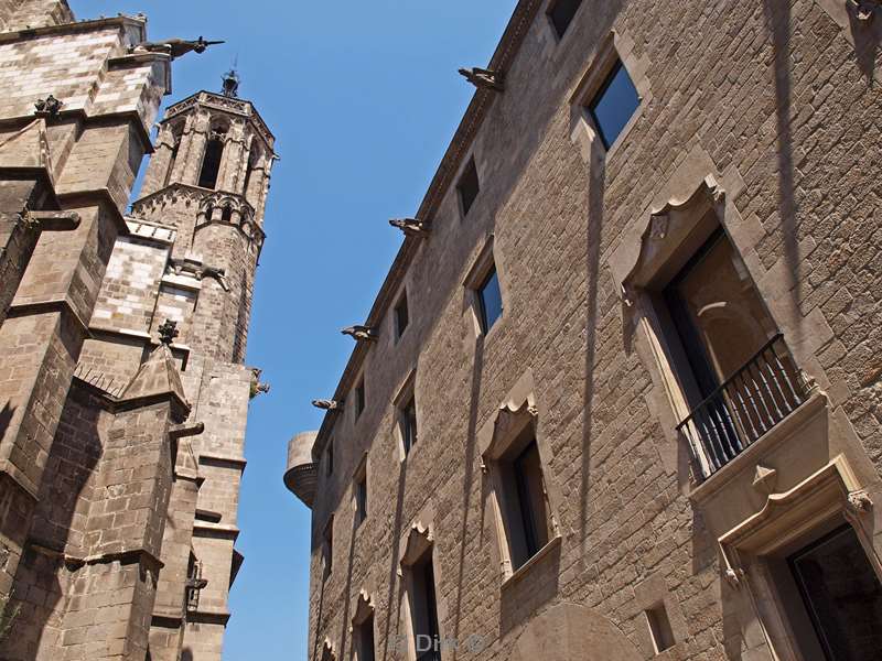 citytrip barcelona spain cathedral