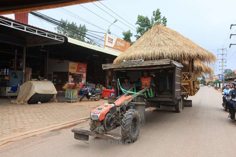 cambodia siem reap butterfly paradise